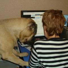 Ольга Касьянова, 12.02.1957, Новосибирск