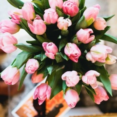 Людмила Веселовская, Запорожье