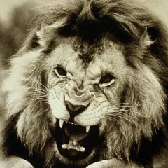 Аслан Кушхаунов, 27.07, Нальчик