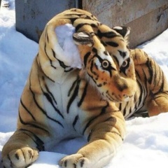 Павел Шиконен, 30.08.1976, Москва