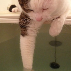 Mira Ss, 14.08, Астана