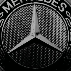 Магомед Евлоев, Санкт-Петербург