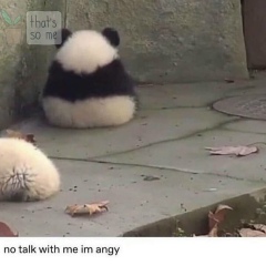 Tigran Sanamyan, 06.10, Алматы