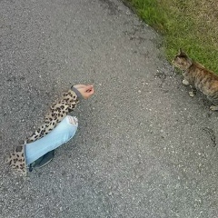 Алина Ушакова, 23.04, Санкт-Петербург