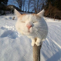 Максим Дорофеев, Санкт-Петербург