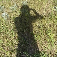 Мер Ген, 01.02, Москва