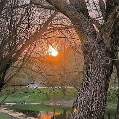 Олег Ч, Минск