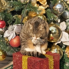 Антон Перминов, 19.08.1984, Санкт-Петербург