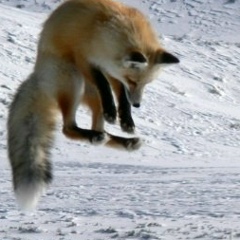 Рома Юнусов, 30.08.1988, Корсаков