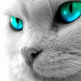 Максим П, 10.01.1987, Алматы