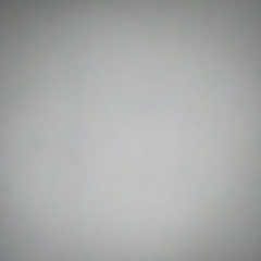 Белла Рабинович, 29.02.2008, Новосибирск