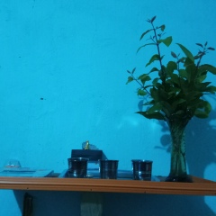 Moekgkin Moekgkin, 11.08.2000, Yangon