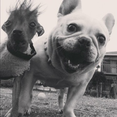 Алексей Зубков, 11.08