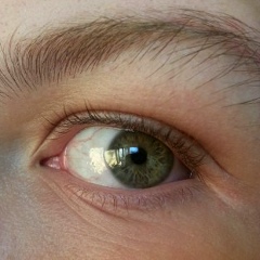 Тёма Кот, 24.07, Котик