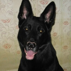 Наталья Павловская, 06.04, Санкт-Петербург