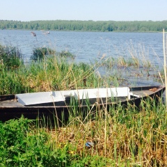 Анна Бережная, 16.01.1901, Москва