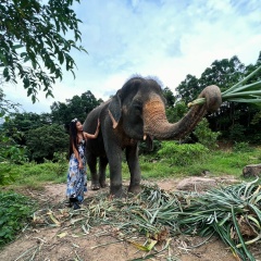 Надира Хан, 25.12, Алматы