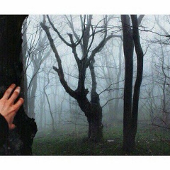 Камила Сулейманова, 04.06, Прохладный