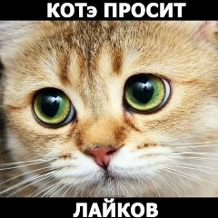 Назима Иманалиева, 24.06, Иркутск