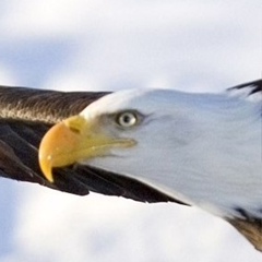 Abzal Tokbergenov, 28.02.1990, Алматы