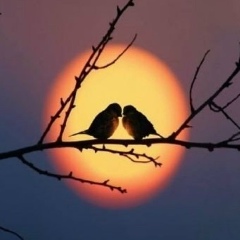 Жансерик Нургалиев, 08.12.1985, Шетпе