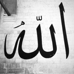 Рамзан Дадаев, 20.03