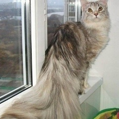 Лена Гусева, 20.10, Москва