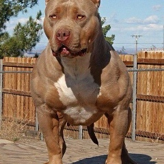 Нурик Сулайманов, 05.10.1990, Абакан