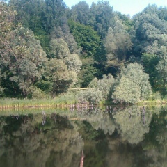 Юлия Карелкина, 29.01