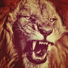 Али Койбагаров, 06.04