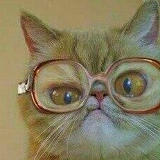 Анна Веденеева, 24.03, Вологда