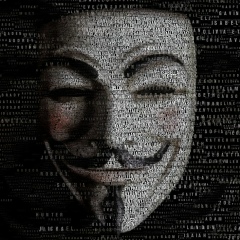 Александр Колесов, Санкт-Петербург