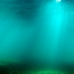 Михаил Мигоунов, 01.04.1987, Москва