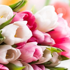 Аня Сенишин, 18.12, Львов