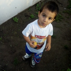 Рауф Тахмазов, Новосибирск