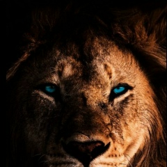 Рустем Ягудин, Сибай