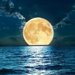 Марат Сонный, 11.02, Москва