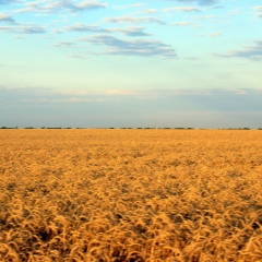 Алла Шульга, 04.02, Одесса