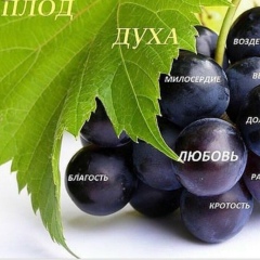 Султан Саматов, 09.10.1977, Москва