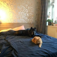 Наталья Волынская, 20.01