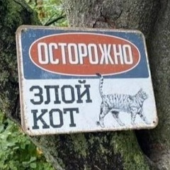 Антон Андреев, 08.09, Санкт-Петербург