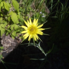 Елена Воронина, 04.10, Самара