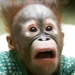 Сергей Шатов, Москва