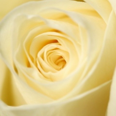 Наталья Мазур, 05.07, Ильинцы