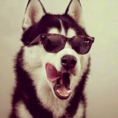 Армен Оганезов, Москва