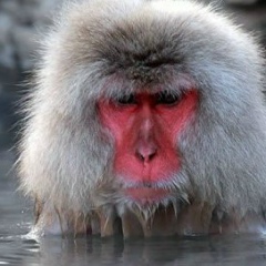 Сергей Данилов, 27.05.1978, Славянск