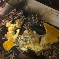 Марина Байбакова, 15.06.1969