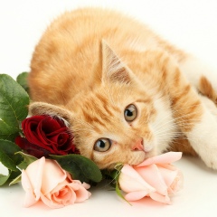 Юлия Солобоева, 22.12, Тюмень