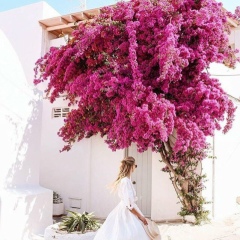 Айгуль Куралбай, 11.07, Шымкент