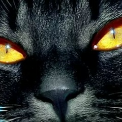 Юлия Савинская, 19.02.2007